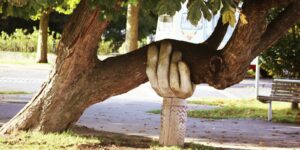 brown tree